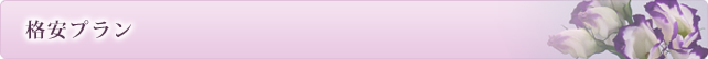 格安プラン