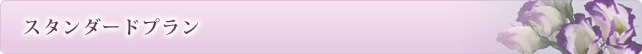 スタンダードプラン