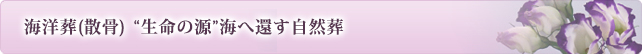 海洋葬(散骨) “生命の源”海へ還す自然葬
